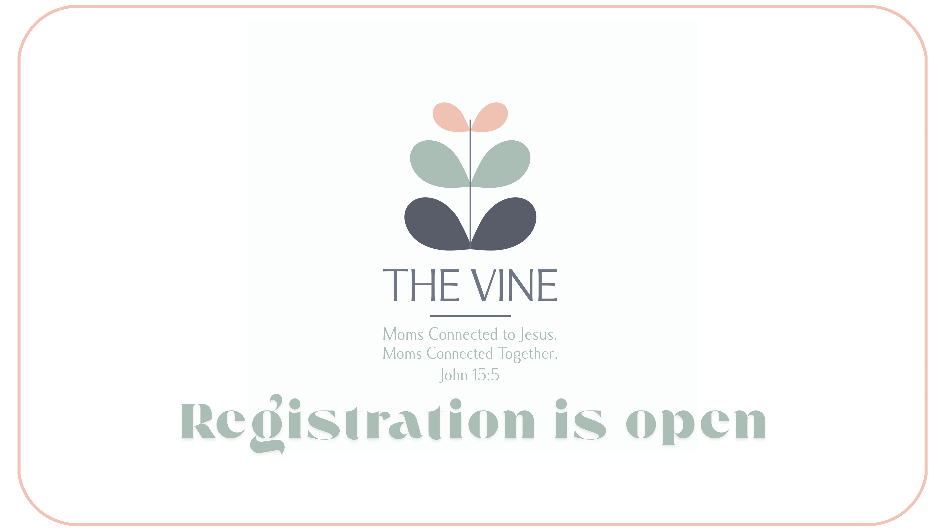 The Vine